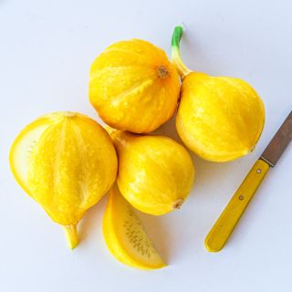 Lemon Summer Squash with a wedge cut and a yellow handled knife against a white background.