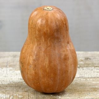 A single Sucrine Du Berry Winter Squash on a wooden table with a light gray background.