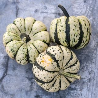 A trio of Sweet Dumpling Winter Squash on a rustic metal background.