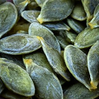 Close up of Kakai WInter Squash hulless seeds.