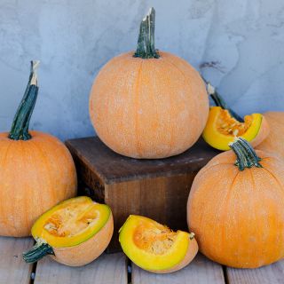 Cut and whole Luxury Pie Pumpkin Winter Squash.