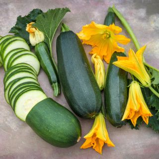 Sliced and whole Black Beauty Zucchini Summer Squash with blooms on a pastel background.