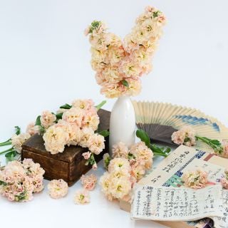 A floral arrangement of Chanter Cedo Apricot Stock accented by vintage Japanese items on a white background.