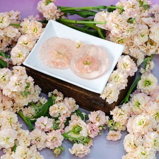 Jello with Chanter Cedo Apricot Stock inside surrounded by flowers.