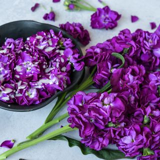 Murasaki No Uta Stock flowers with salad dressing in a bowl.