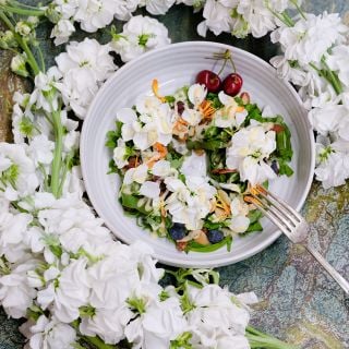 White Surf Stock stems surrounding bowl of salad.