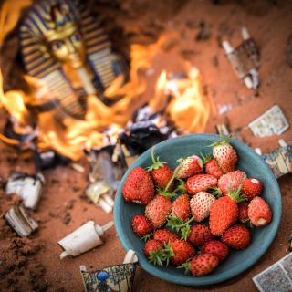 Alexandria Alpine Strawberries in a bowl with a recreation of the burning of the Alexandria Library.