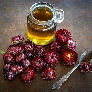 King Size Red Strawflower tea with floers at the base of the tea and spoon on a copper background.