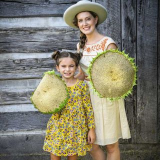 Two Mammoth Grey Striped Sunflowers are held by two gardeners in front of an old cabin.