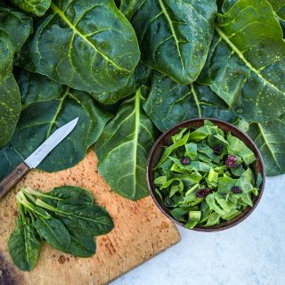 Freshly harvested Perpetual Spinach Swiss Chard leaves with a salad and young leaves on a cutting board.