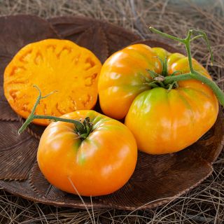 Cut and whole Kentucky Beefsteak Tomatoes on wooden platter sitting on a bed of pine needles.