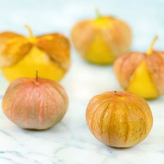 Five Amarylla Tomatillo fruit with husks on a white marble background.
