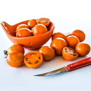 An orange bowl full of Apricot Zebra Tomatoes with a knife on white background.