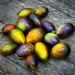Over a dozen freshly harvested Brad's Atomic Grape Tomatoes on a weathered wood background.