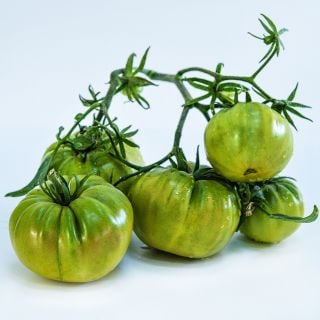 A cluster of Aunt Ruby's German Green Tomatoes on a white background.
