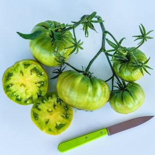 Aunt Ruby's German Green Tomato cluster on a white background with a green handled knife.