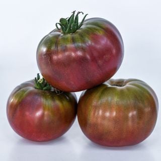 Side view of three stacked Black Krim Tomatoes on a white background.