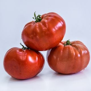 Three whole Bonny Best Tomatoes stacked on a white background.