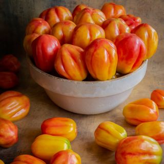 California Tulip Tomatoes arranged in bowl on a brown background.