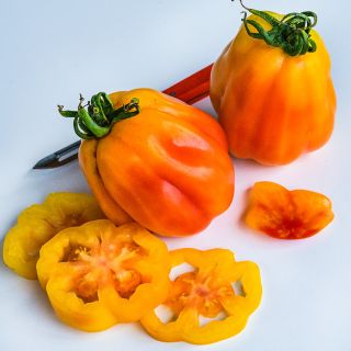 A pair of California Tulip Tomatoes with a knife and slices on white.