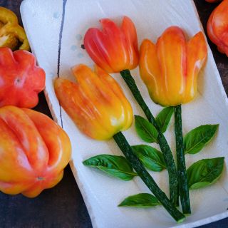 California Tulip Tomatoes cut on plate to look like real tulips.