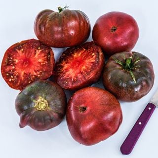 A half dozen Cherokee Purple Tomatoes with a purple handled knife on a white background.