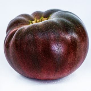 A single Cherokee Purple Tomato on white background.