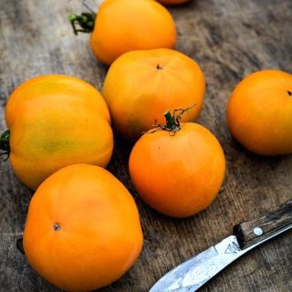A half dozen of Dad's Sunset Tomatoes on wooden cutting board with a knife.