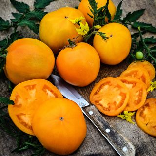 Sliced and cut Dad's Sunset Tomatoes with foliage and blooms on a wood cutting board.