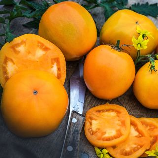 Sliced and whole Dad's Sunset Tomatoes on wooden cutting board with leaves and blooms.