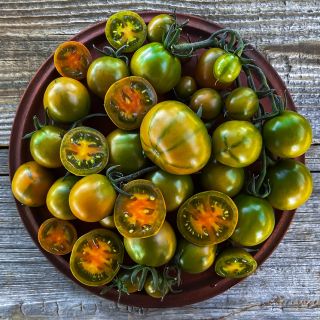 A bowl full of Evil Olive Tomatoes on wood. Image by Lucy Hutchins.