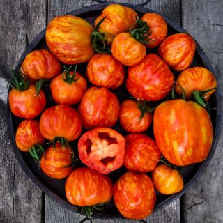 A platter full of Get Stuffed Tomatoes on wood backgroud. Image by Lucy Hutchins.