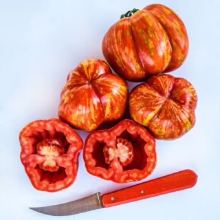 Whole and cut Get Stuffed Tomatoes on a white background.