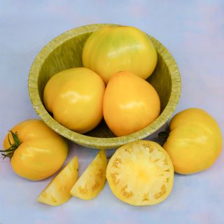 Golden King of Siberia Tomatoes in green bowl with slices on a light blue background.