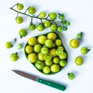 Green Doctors Tomatoes on a white background with a green handled knife.