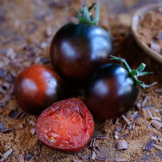 Indigo Blue Chocolate Tomatoes surrounded by cocoa powder and chocolate shavings.