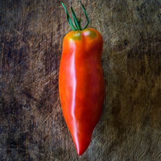 A single Jersey Tomato sitting on a wooden cutting board.