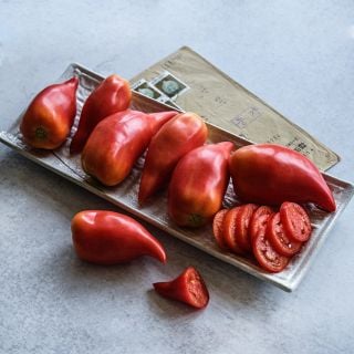 A half dozen Korean Long Tomatoes on a white plate with slices.