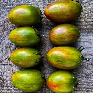 Overhead view of eight colorful Lucky Tiger Tomatoes on a wooden background.