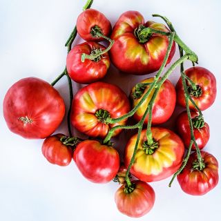 A plentiful cluster of Mortgage Lifter Tomatoes on a white background.