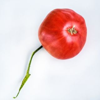A single Mortgage Lifter Tomato with a stem on a white background.