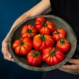 A woman holding a bowl full of Mushroom Basket Tomatoes. Image by Lucy Hutchins.