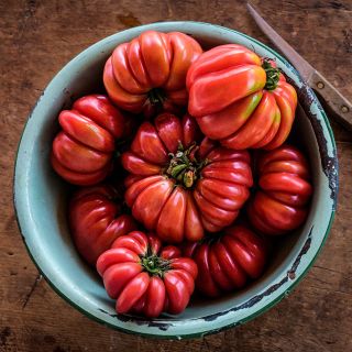 Mushroom Basket Tomatoes in a vintage bowl on wood background with a wood handled knife.