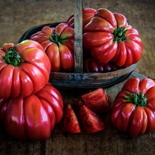 Mushroom Basket Tomatoes in a little English antique basket on a vintage wood background.