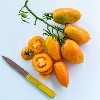 Cut and whole Orange Icicle Tomatoes covered in water droplets on white background.