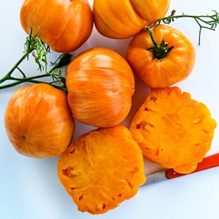Overhead view of sliced and whole Orange Jazz Tomatoes on white background.