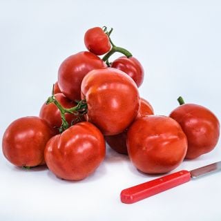 An impressive pile of Peron Tomatoes with a red handled knife on white seamless background.