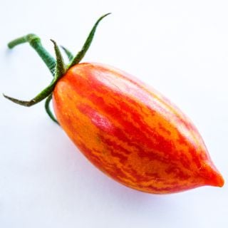 A single Pink Tiger Tomato on a white background.
