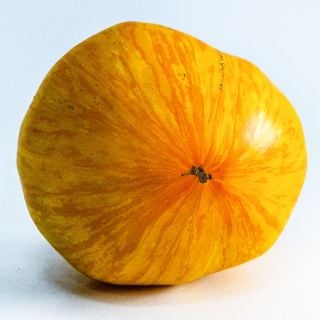 A single Pork Chop Tomato on a white background.