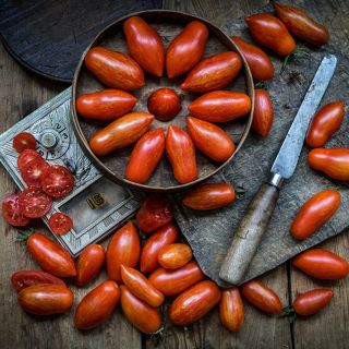 Overhead view of Prairie Fire Tomatoes on a wooden background reminiscent of vintage Americana.
